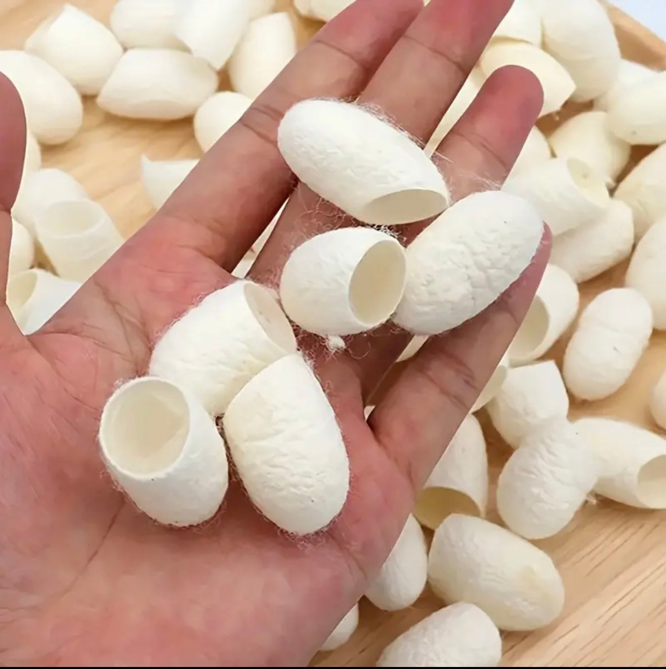 Silkworm Exfoliating Cocoons 10-Pack - Ancient Natural Exfoliation