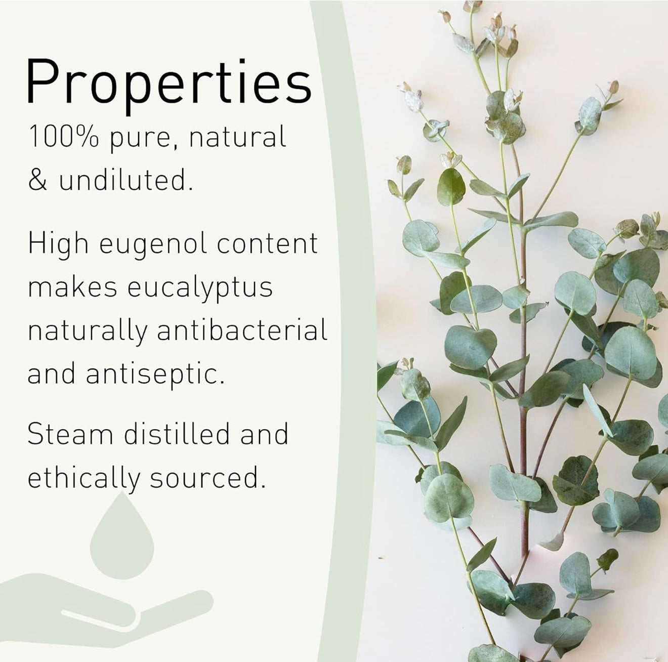 Mini Spa Bag - Eucalyptus Aromatherapy Wellness Kit